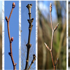 2026VJ - Fotobewerking, hoe werkt dat?