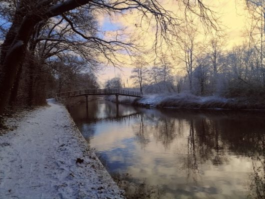 2025VJ - Waarom boeit ons Schuberts Winterreise nog steeds?