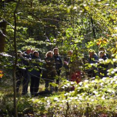 2026VJ - Minicursus “Ontdek de bomen in je eigen omgeving”